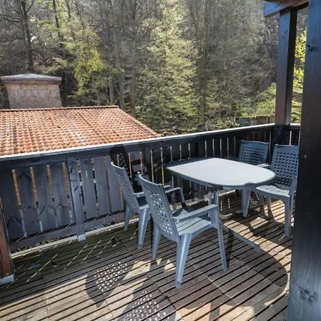 Forsthaus Am Brocken, 40 Qm, 1 Schlafzimmer F4